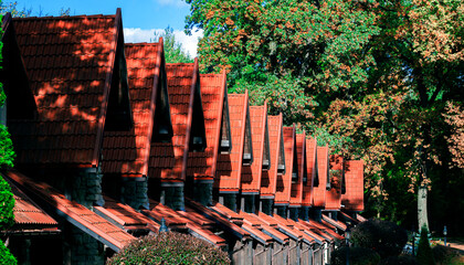 Europe village cottage street in country side park outdoor are summer contrast bright colorful summer season day time panoramic rustic environment space