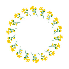 Cute round wreath with hand drawn canola rapeseed flowers isolated on white background.