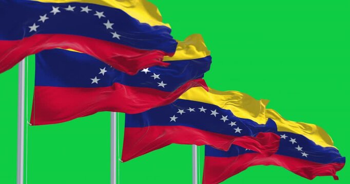 Venezuela national flags waving in the wind isolated on green background