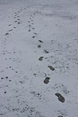 Human Footprints in Fresh Snow Creating Winter Path