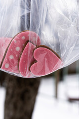 Macro view of pink iced gingerbread cookies wrapped in plastic hanging on tree branch