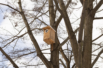 A wooden birdhouse attached to a tree and covered with snow, peaceful winter nature scene showing care for birds during cold weather
