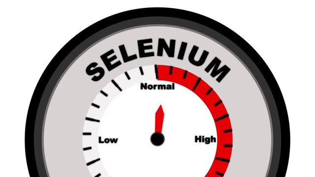 Selenium text or word with a barometer or tachometer-style gauge, illustrating varying levels of selenium in the body and its effects on health
