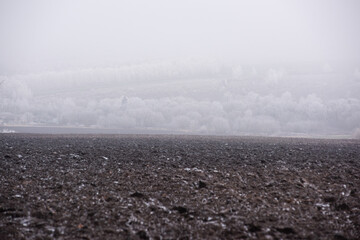 Winter fog, frost-covered trees, and a plowed field
