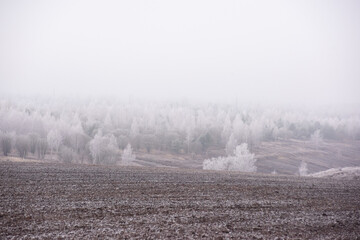 Frost-covered trees and a plowed field in winter