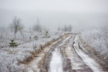 Snow-covered road and grass in frost, fog in winter