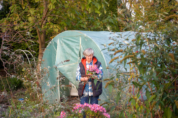 Starsza Pani seniorka układająca bukiet z kwiatów ze swojego ogrodu. © Monika