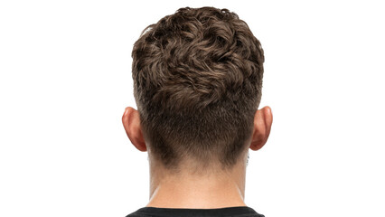 Back of head of man with brown hair