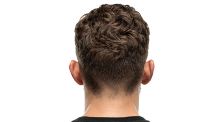 Back of head of man with brown hair