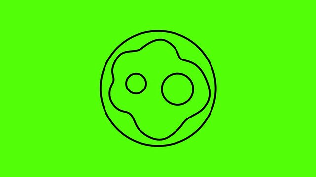 Fried Egg Breakfast Food Cooking Meal Icon Animation On Green Screen Background