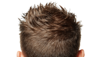 Close-up of short brown male hair style