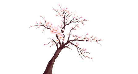 cherry, blossom, tree, sakura, bloom, flowers, floral, spring, pink, petals, nature, plant, garden, park, landscape, scenery, outdoor, natural, beauty, romantic, soft, delicate, elegant, peaceful, cal