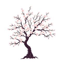 Fototapeta premium cherry, blossom, tree, sakura, flowers, flower, bloom, blooming, spring, pink, petals, floral, nature, plant, garden, park, landscape, scenery, outdoor, natural, beauty, romantic, delicate, soft, eleg