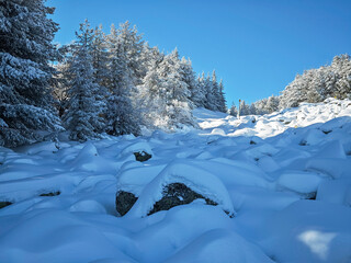 Winter Landscape of Vitosha Mountain, Bulgaria