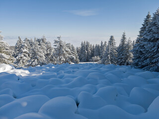 Winter Landscape of Vitosha Mountain, Bulgaria