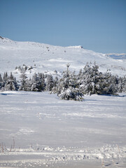 Winter Landscape of Vitosha Mountain, Bulgaria