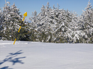 Winter Landscape of Vitosha Mountain, Bulgaria