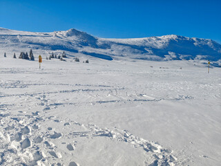 Winter Landscape of Vitosha Mountain, Bulgaria