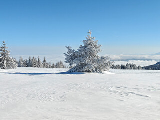 Winter Landscape of Vitosha Mountain, Bulgaria