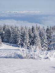 Winter Landscape of Vitosha Mountain, Bulgaria