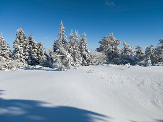Winter Landscape of Vitosha Mountain, Bulgaria