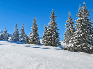 Winter Landscape of Vitosha Mountain, Bulgaria