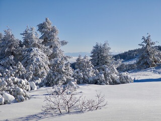 Winter Landscape of Vitosha Mountain, Bulgaria