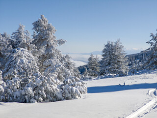 Winter Landscape of Vitosha Mountain, Bulgaria