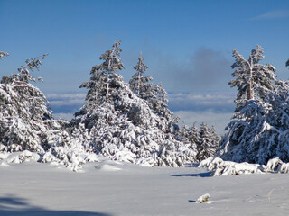Winter Landscape of Vitosha Mountain, Bulgaria