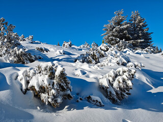 Winter Landscape of Vitosha Mountain, Bulgaria