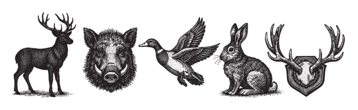 A monochromatic collection of vintage engraved illustrations featuring a deer, wild boar head, flying duck, sitting rabbit, and deer antlers on a shield.