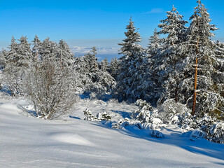 Winter Landscape of Vitosha Mountain, Bulgaria