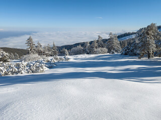 Winter Landscape of Vitosha Mountain, Bulgaria