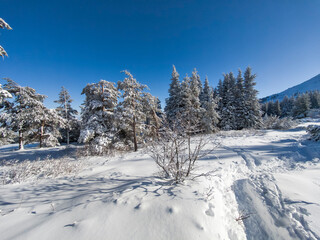Winter Landscape of Vitosha Mountain, Bulgaria