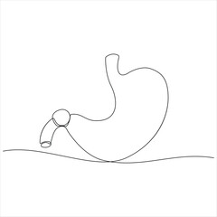Continuous line art of human stomach anatomy isolated vector illustration