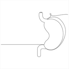 One continuous line drawing of human stomach anatomy minimal gastrointestinal line art vector