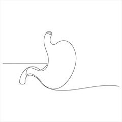 Human stomach continuous line drawing vector