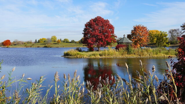 Little bear lake reflection located in Vernon Hills, USA 10282024