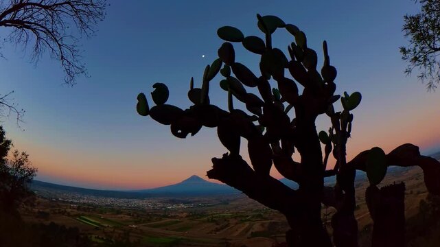 Popocatepetl volcano silhouette at dawn with cactus and moon