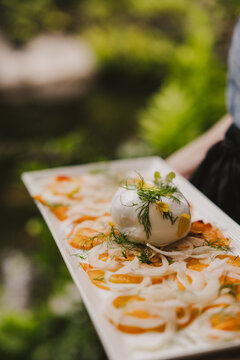 Holding Burata Salad