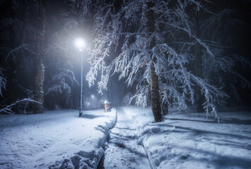 Mystical winter night in a forest with a snow-covered path. Glowing street lamps illuminate frosted snowy trees and heavy snowdrifts, creating a peaceful and magical atmosphere. Fairytale forest