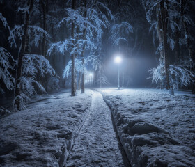 Magical winter night in snow-covered forest. Glowing lantern illuminates a narrow path and frozen snowy trees in park. Peaceful and mystical atmosphere. Landscape. Trail in mysterious forest