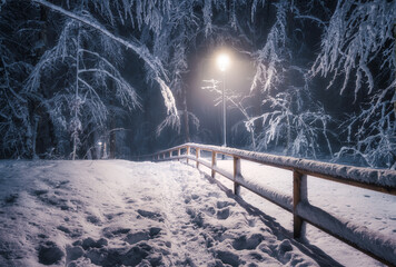 Snow-covered forest path at night illuminated by street lights after snowfall. Winter park walkway with frosted trees, snow, trail, wooden fence, cold weather atmosphere. Magical forest. Fairytale