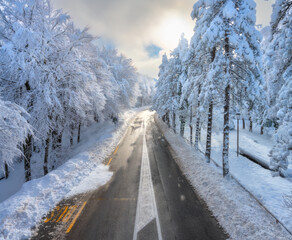 Aerial view of mountain road in snow-covered forest at sunset in Croatia. Winter fairytale with snowy trees and cloudy sky in the evening after snowfall. Landscape. Top view. Seasonal transport route