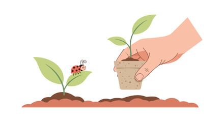 Hand planting a small seedling next to a growing plant and a ladybug.
