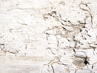 Fototapeta premium old wall texture