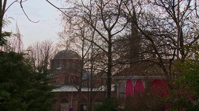 Kariye Mosque Seen Through Trees in Istanbul