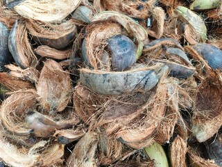 Close-up coconut husks scattered on the ground, wasted.