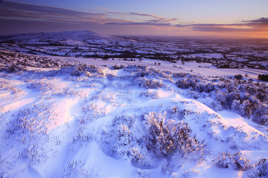 Snow, Stoke Enclosure, Shropshire