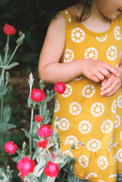 Child stands outdoors next to pink rose campion flowers